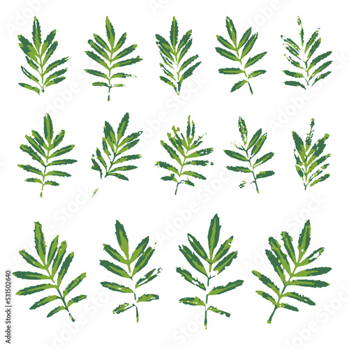 Green Marigold Leaves Prints Set