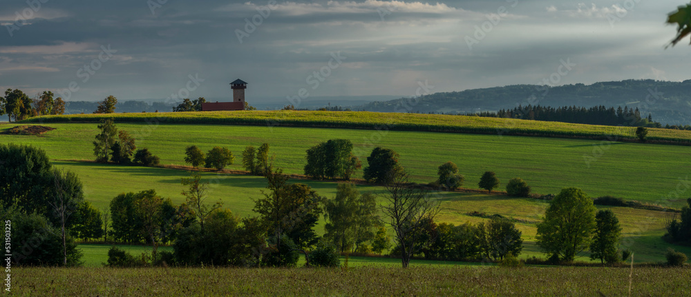 Fields and meadows in summer evening near Roprachtice village with tower