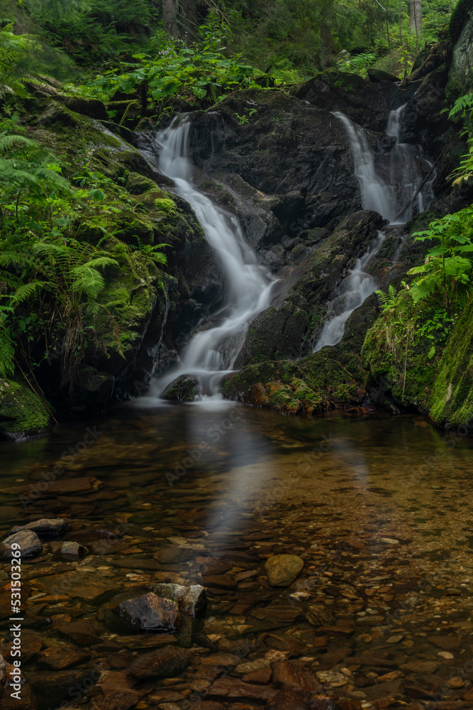 Fototapeta premium Javori creek in Krkonose national park in summer morning
