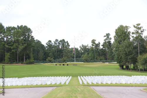 National Cemetery, with markers, head stones , and flags