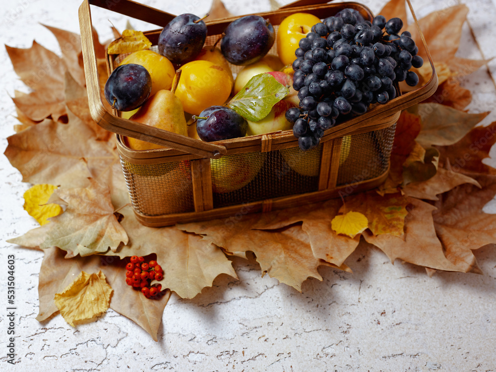 autumn background with apples, pears, plums, grapes and leaves