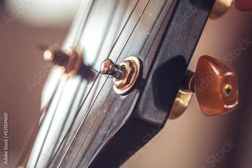 Canvas Print Close up, part of an acoustic guitar, macro detail.