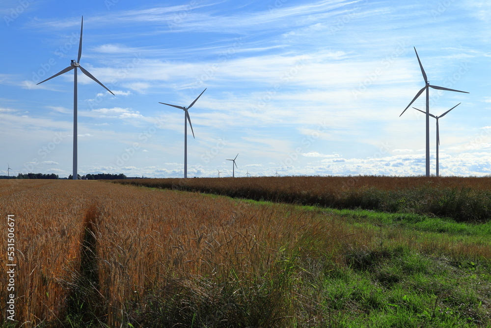 Wind power turbines at a meadow. Windy weather one summer day outside. Modern Swedish farm land. Near Skara, Sweden, Scandinavia, Europe. Year 2022.