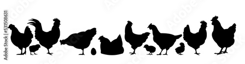 Chickens in pasture. Picture silhouette. Farm pets. Domestic poultry to get eggs. Isolated on white background. Vector