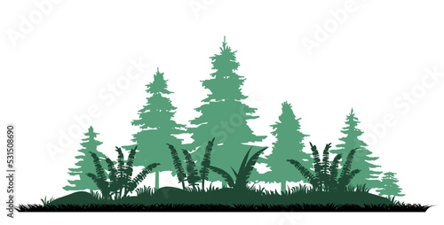 Fern thickets. Coniferous forest with firs and pines. Landscape with trees and grass. Silhouette picture. Isolated on white background. Vector.