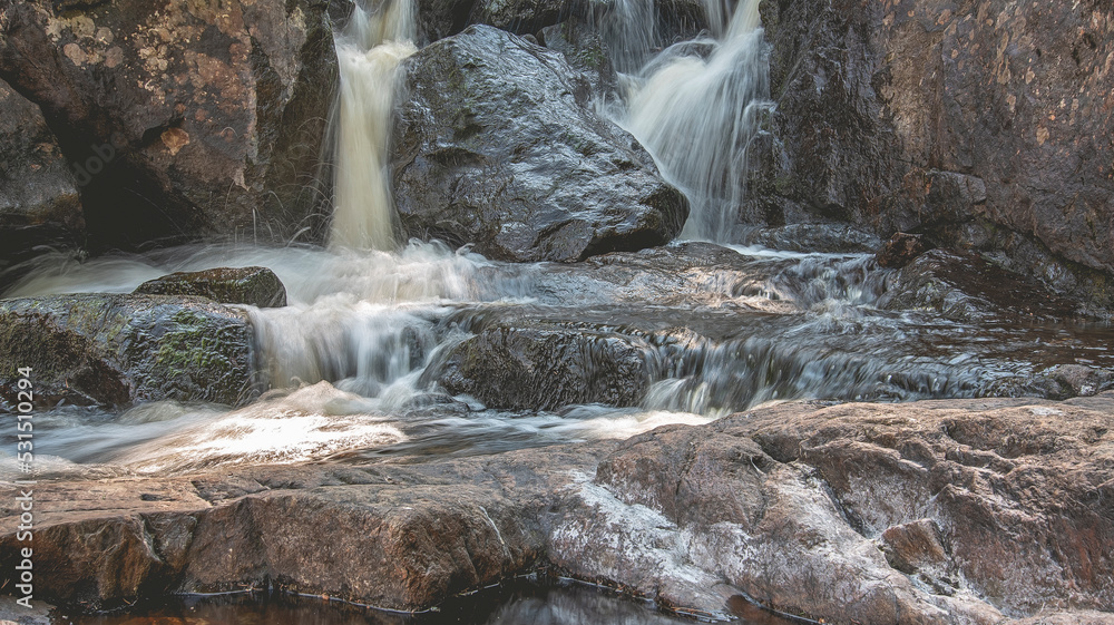 Naklejka premium Nature at it's best