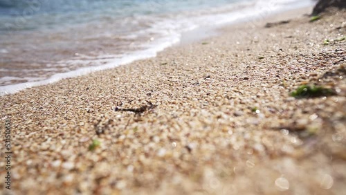 Wallpaper Mural Beautiful sea waves on a summer sunny day on the sandy beach. Close-up, no people. Super slow motion. Torontodigital.ca