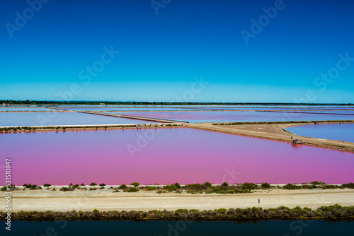 Pink salt field in Camargue france