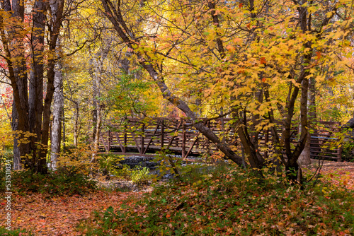 Cross bridge at North American fork canyon in Utah