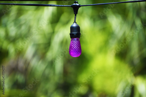 Purple Light