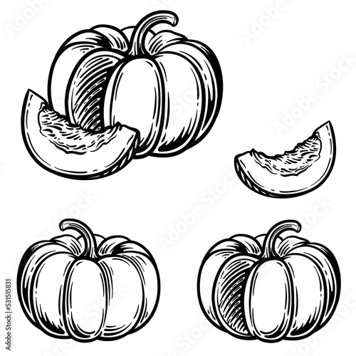 Vector illustration of pumpkin isolated on white background. Pumpkin and a slice of pumpkin. Black and white. photo