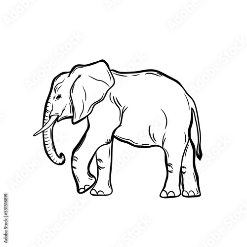 Black elephant. PNG illustration.