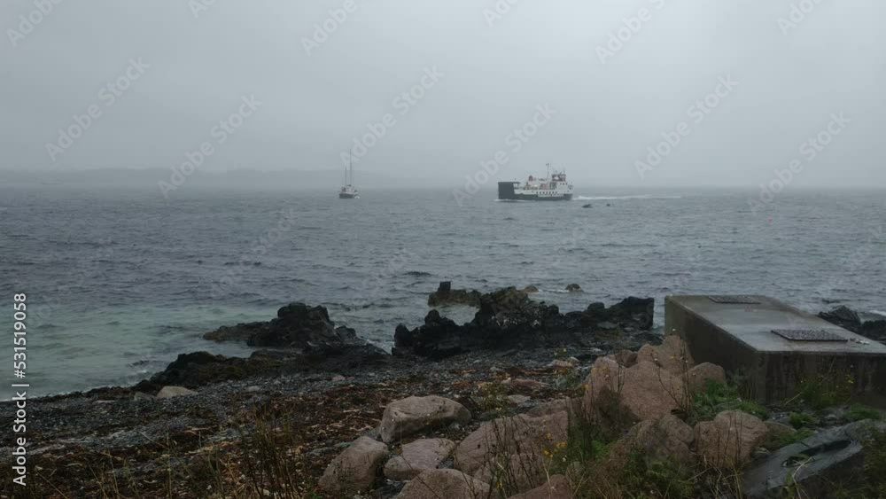 UK, Isles of Mull and Iona September 8, 2019 casual photos of live