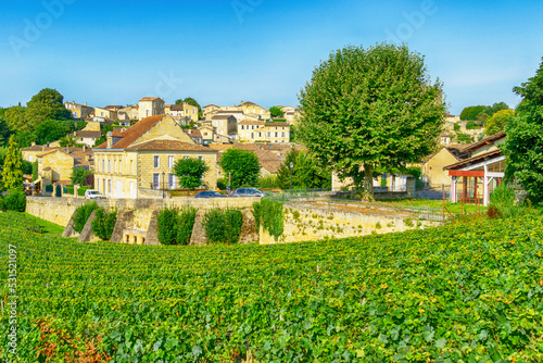 Vineyards in Saint-Emilion