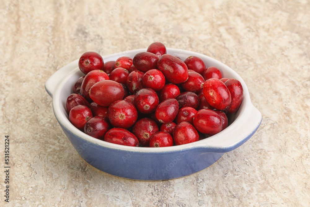 Ripe sweet tasty cranberry in the bowl Ripe sweet tasty cranberry in the bowl
