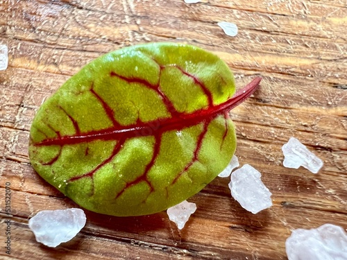 green apple on a wooden table