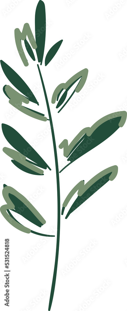 Green plant leaf. Minimalist botanical design element. 