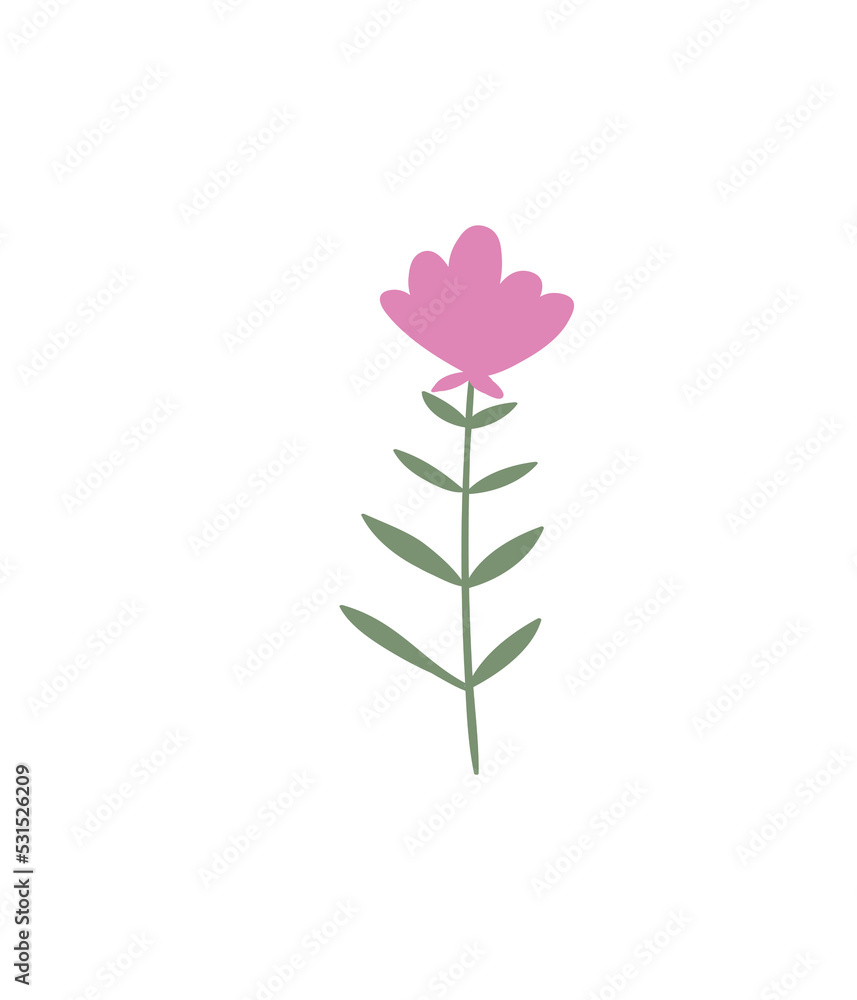 Fototapeta premium A colorful simple flower. Botanical design element. 