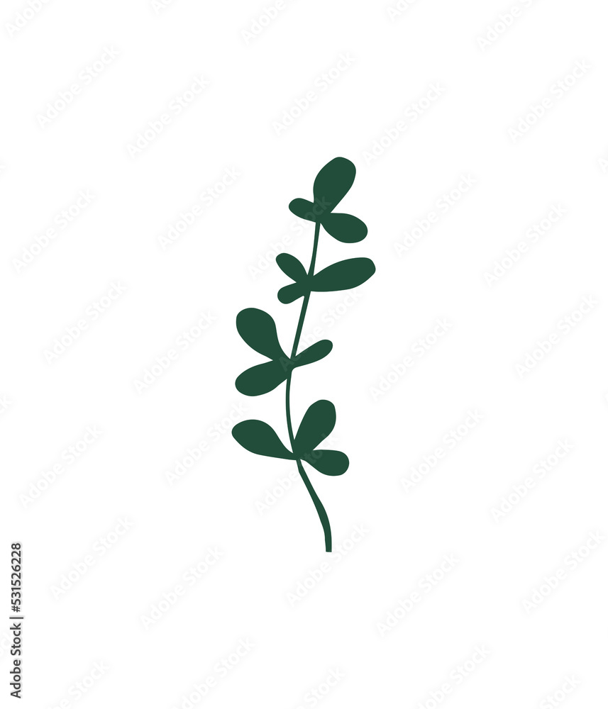 Plant leaf. Botanical design element. Plant leaf. Botanical design element.