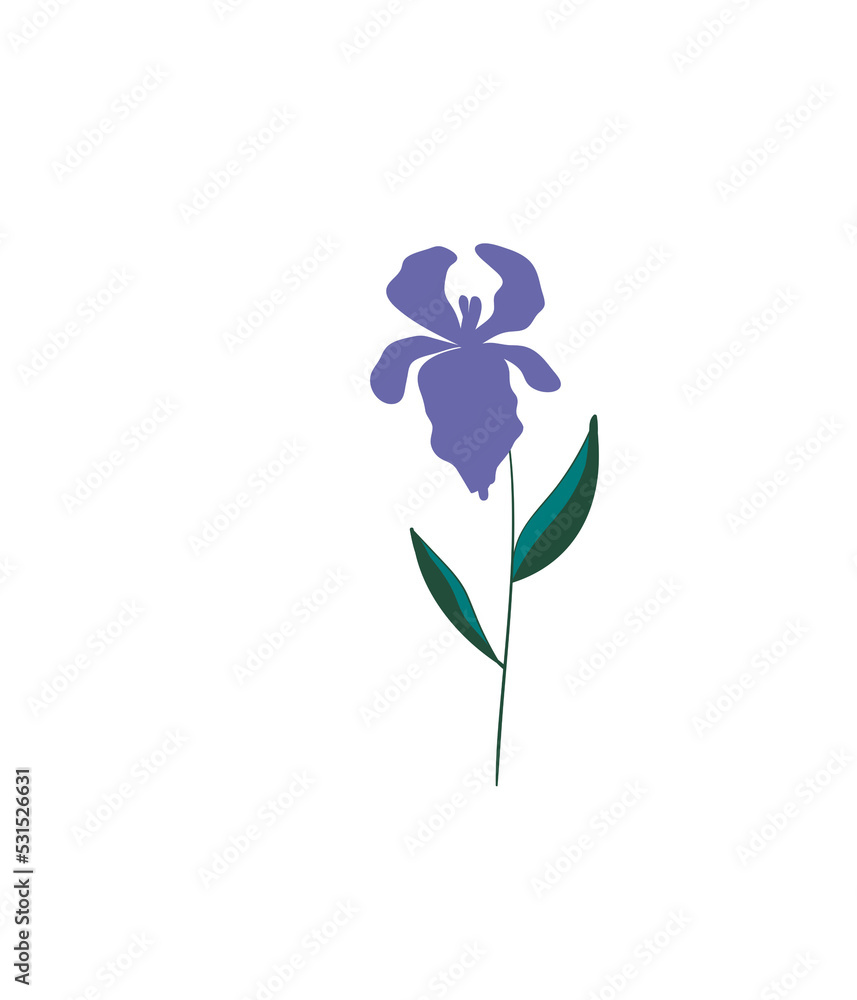 Floral design element. Botanical detail in a simple minimalist style. Floral design element. Botanical detail in a simple minimalist style.