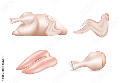 Raw fresh chicken parts set. Realistic whole chicken, breast halves fillets, wings, legs for cooking