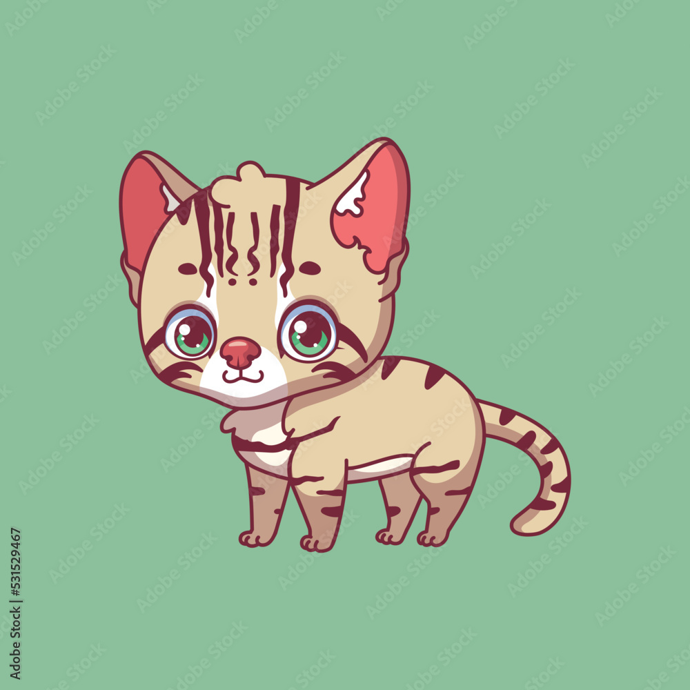 Illustration of a cartoon fishing cat on colorful background Illustration of a cartoon fishing cat on colorful background