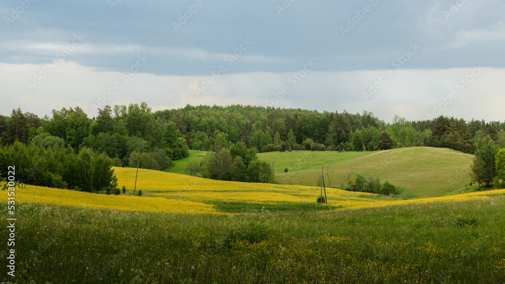 Landscape with green field and sky.