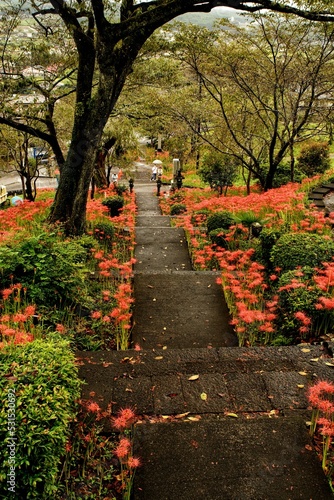 path in autumn park