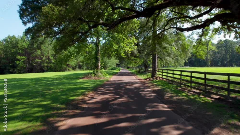 POV drone shot traveling down a tree lined rural road POV drone shot traveling down a tree lined rural road