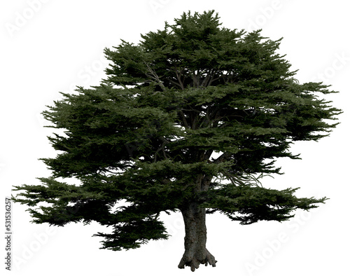 3d rendering of  Cedrus Libani PNG vegetation tree for compositing or architectural use. No Backround. 