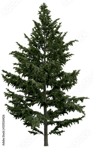 3d rendering of  Cedrus Libani PNG vegetation tree for compositing or architectural use. No Backround. 