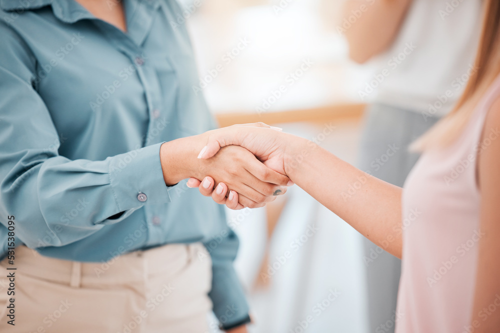B2b, thank you and handshake with business women in a meeting welcome, partnership and agreement on contract. Employee and ceo shake hands on work deal, teamwork and success in office collaboration B2b, thank you and handshake with business women in a meeting welcome, partnership and agreement on contract. Employee and ceo shake hands on work deal, teamwork and success in office collaboration