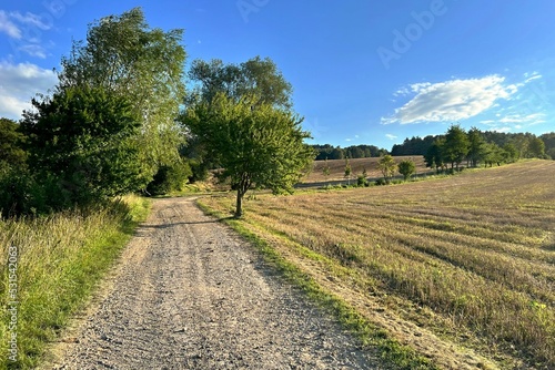 road in the countryside © Adam