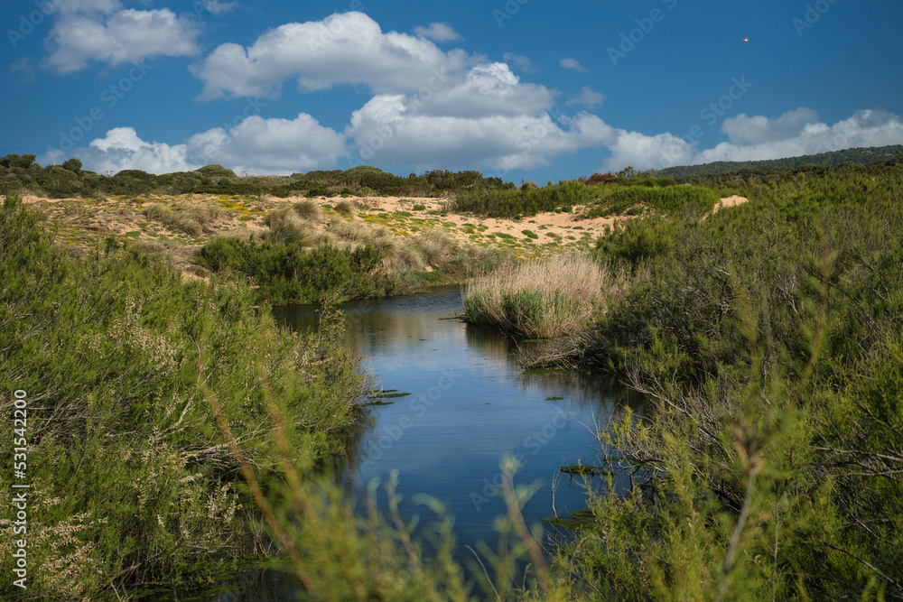 view of a riverbed between vegetation on a sunny day with clouds