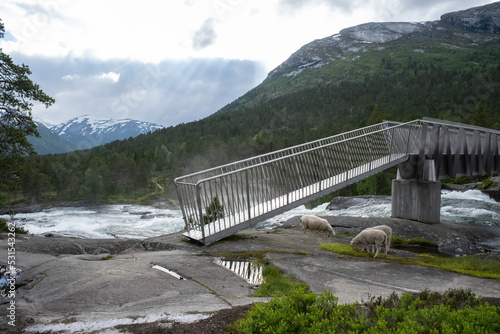 Wonderful landscapes in Norway. Vestland. Beautiful scenery of Likholefossen waterfall and river Eldalselva Gaula. Mountain, trees and sheeps in background. Cloudy day. Selective focus photo