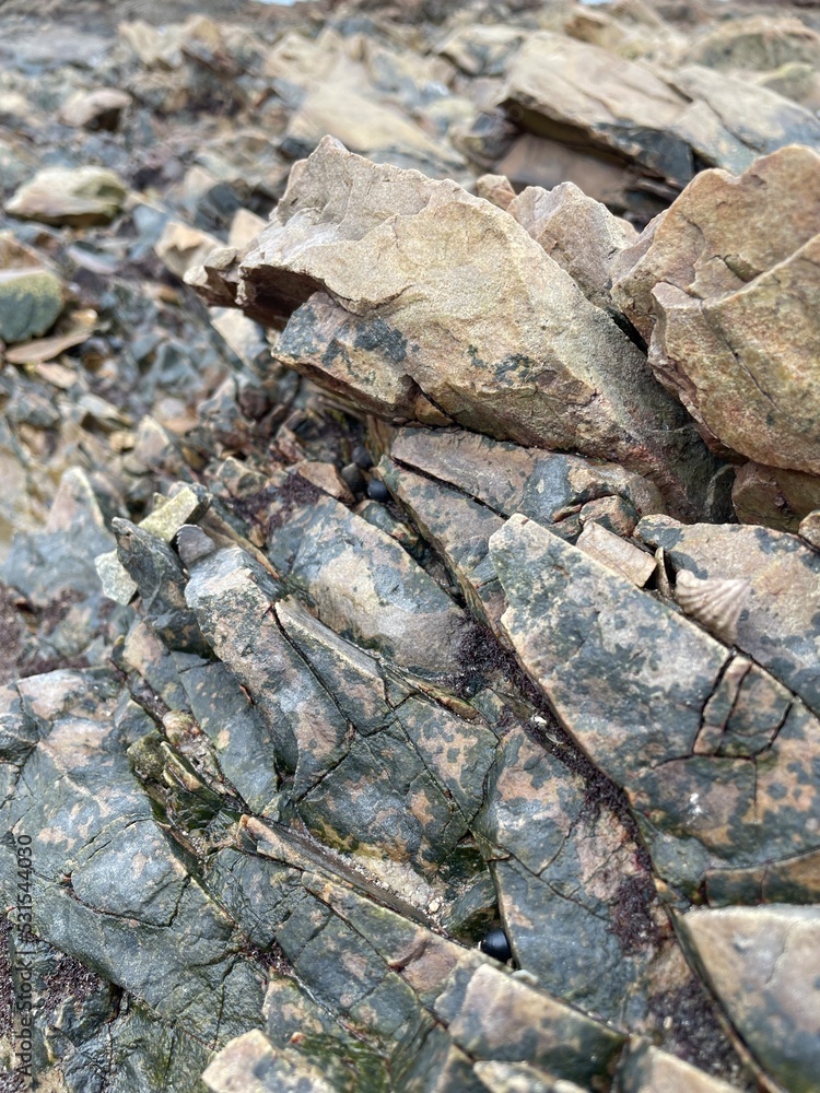 stone wall texture stone wall texture