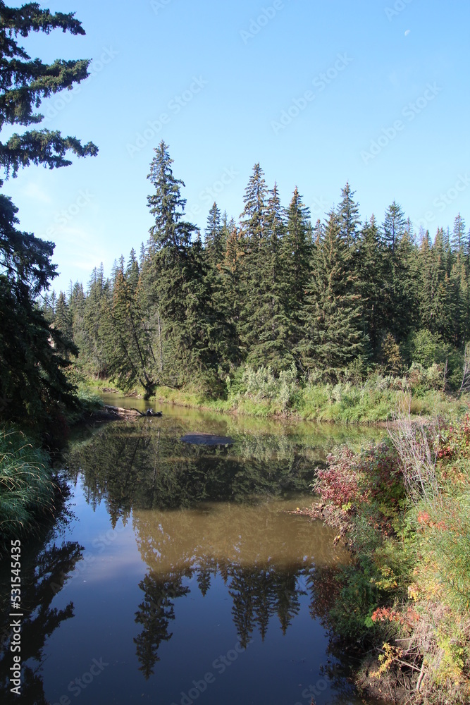 Calm Creek, Whitemud Park, Edmonton, Alberta Calm Creek, Whitemud Park, Edmonton, Alberta
