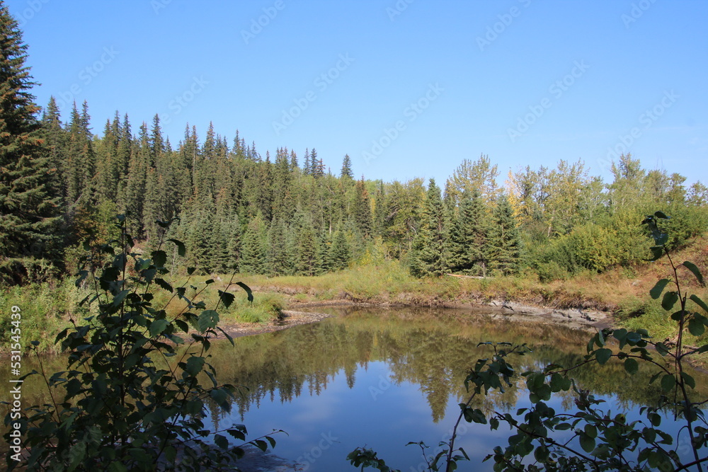 reflection of trees in the creek, Whitemud Park, Edmonton, Alberta