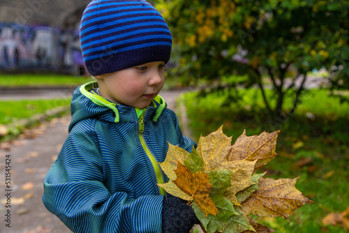portrait of a little toddler boy with maple leaves in autumn outdoors