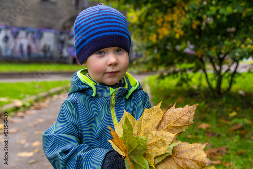 portrait of a little toddler boy with maple leaves in autumn outdoors