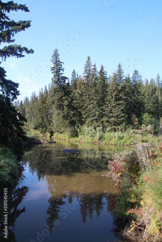 Calm Creek, Whitemud Park, Edmonton, Alberta