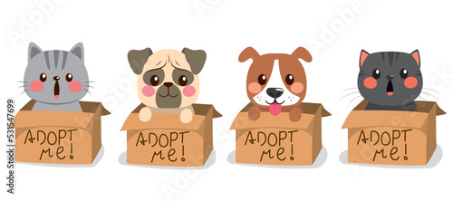 Adoption PetHome pets cute ...