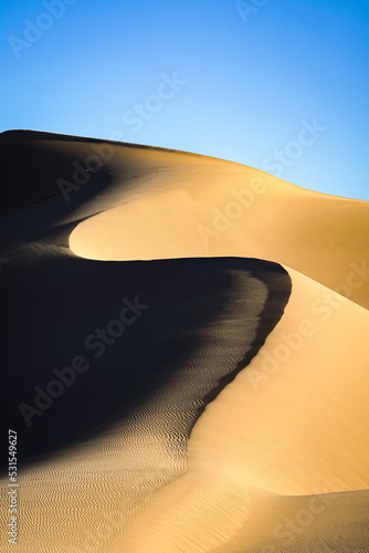 Fototapeta Naklejka Na Ścianę i Meble -  sand dune in the desert