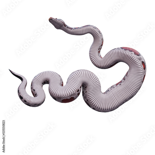 Blood python 3D illustration