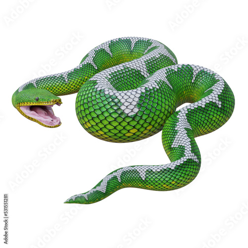 Emerald tree boa 3D illustration