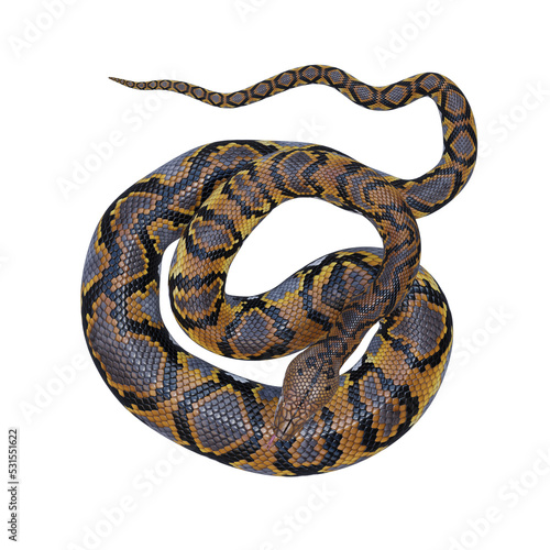 Reticulated python 3D illustration