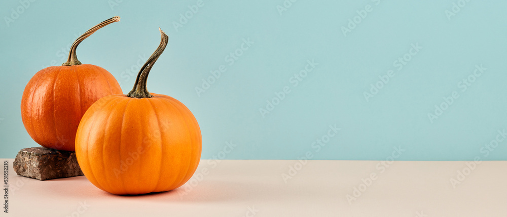 Two orange pumpkins on pastel blue background. Autumn concept. Seasonal banner design with copy space. - obrazy, fototapety, plakaty 