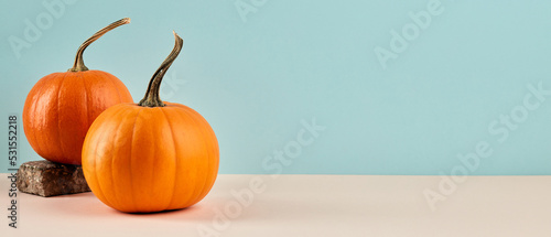 Two orange pumpkins on pastel blue background. Autumn concept. Seasonal banner design with copy space.