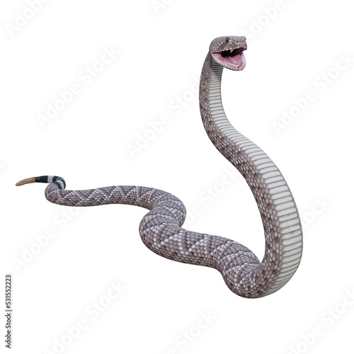 Western diamondback rattlesnake 3d illustration. © DibiaDigital