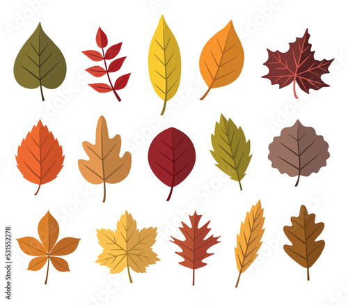 Colorful and bright autumn leaves collection on white background. Vector illustration design template in flat style.